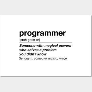 Programmer definition Posters and Art